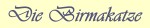 about birman